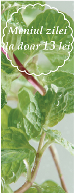 meniul zilei de la 11 lei